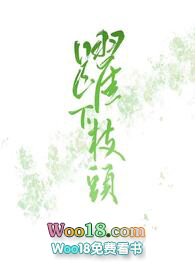玉溪轴套哪家好